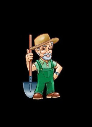 مراقبتهای پاییزه در باغات و نحوه تقویت برای افزایش بار سال آینده