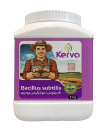 باکتری باسیلوس سوبتیلیس پودری کروا چیست و چه کاربردی دارد؟